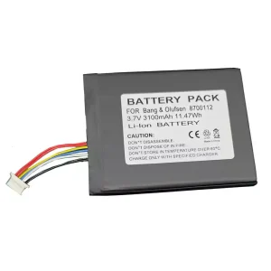 kaiuttimen akku Bang & Olufsen BeoSound Moment,8700112